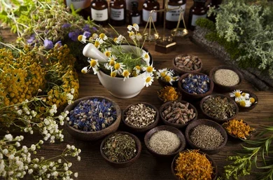 fresh-medicinal-healing-herbs