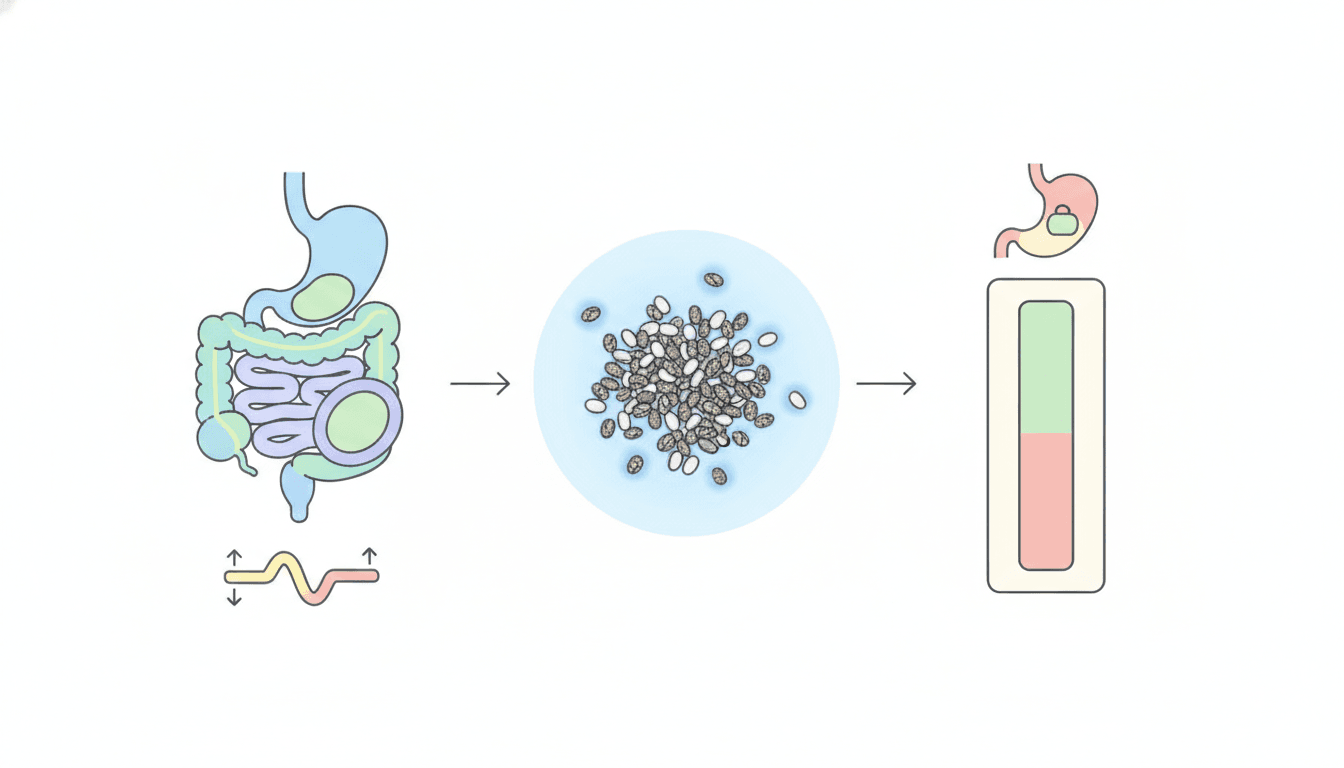 Infographic-style illustration showing chia seeds with icons for digestion, fullness, and blood sugar control.